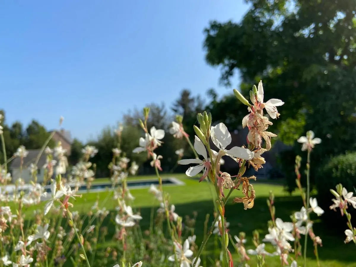 B&B Aline Florentine - Adults Only - Luxury B&B - Chambres D'Hotes - Zimmer Frei Kortenberg 4*,