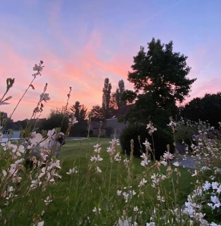 B&B Aline Florentine - Adults Only - Luxury B&B - Chambres D'Hotes - Zimmer Frei Kortenberg