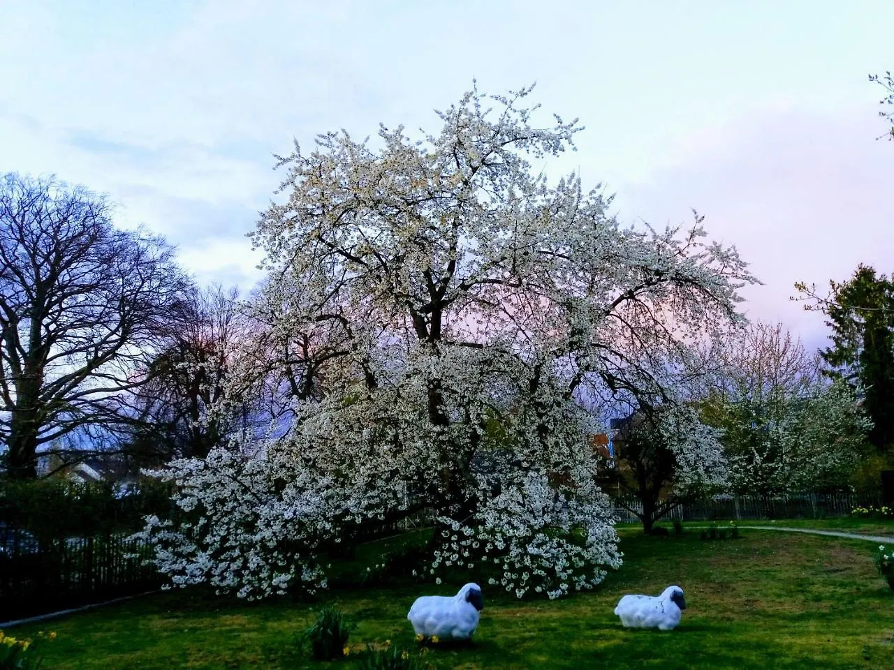 Bed & Breakfast B&B Aline Florentine - Adults Only - Luxury B&B - Chambres D'Hotes - Zimmer Frei Kortenberg